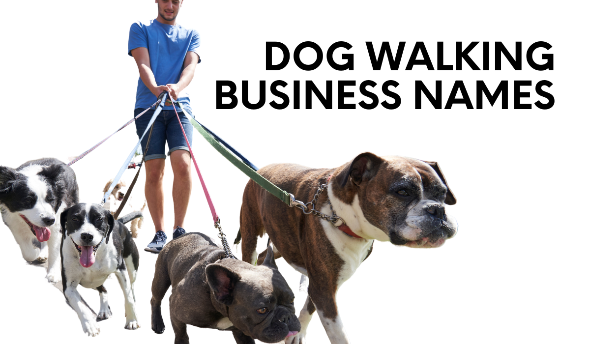 Dog Walking Business Names: 250+ Creative & Catchy Name Ideas